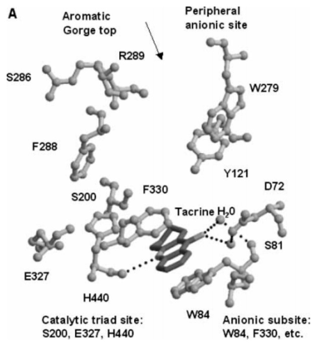 Figure 20