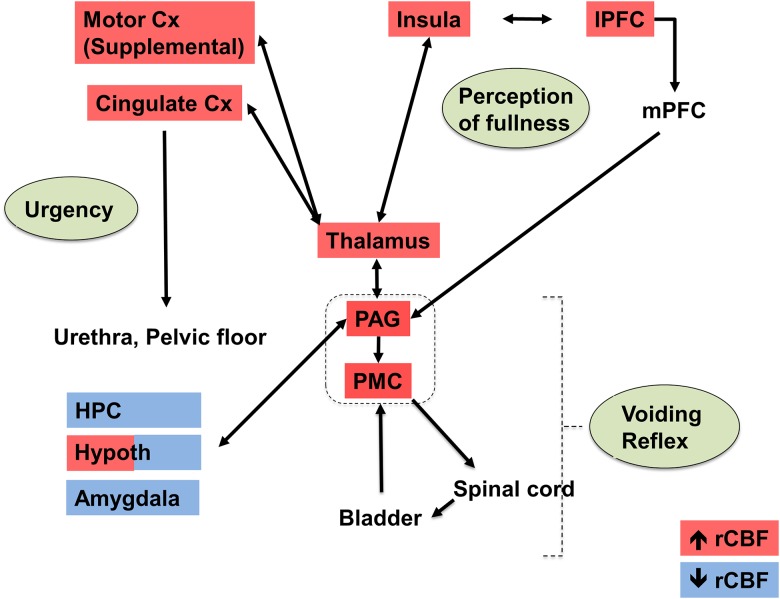 Fig 5