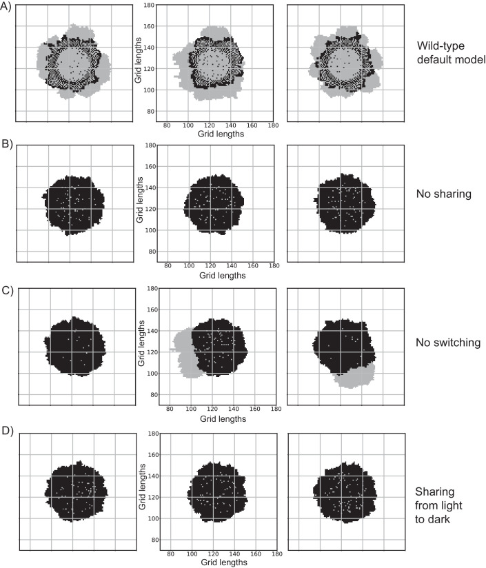 Figure 3—figure supplement 2.