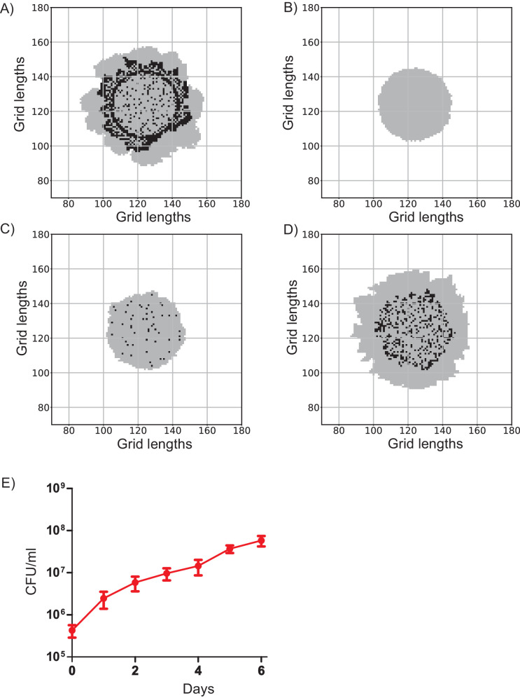 Figure 6—figure supplement 1.