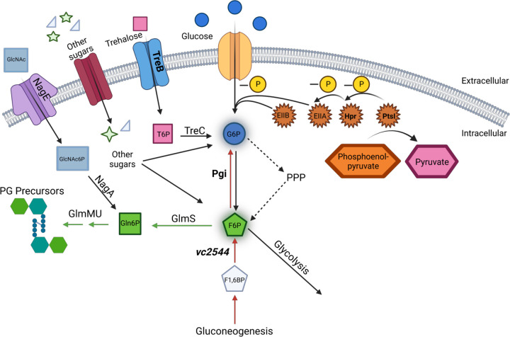 FIG 6