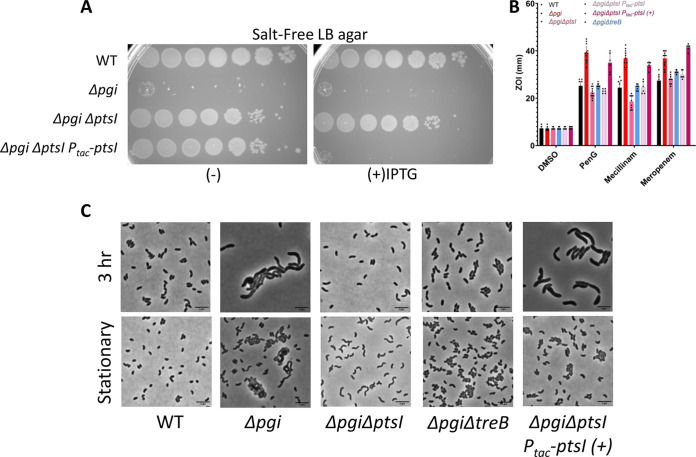 FIG 3