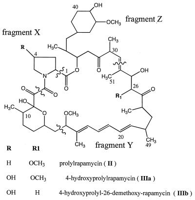 FIG. 5