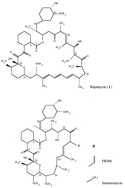 FIG. 1