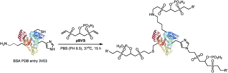 Scheme 2