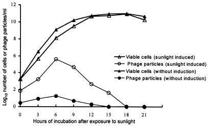 FIG. 1