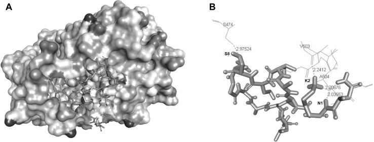 Fig. 2