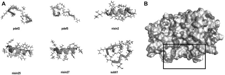 Fig. 1