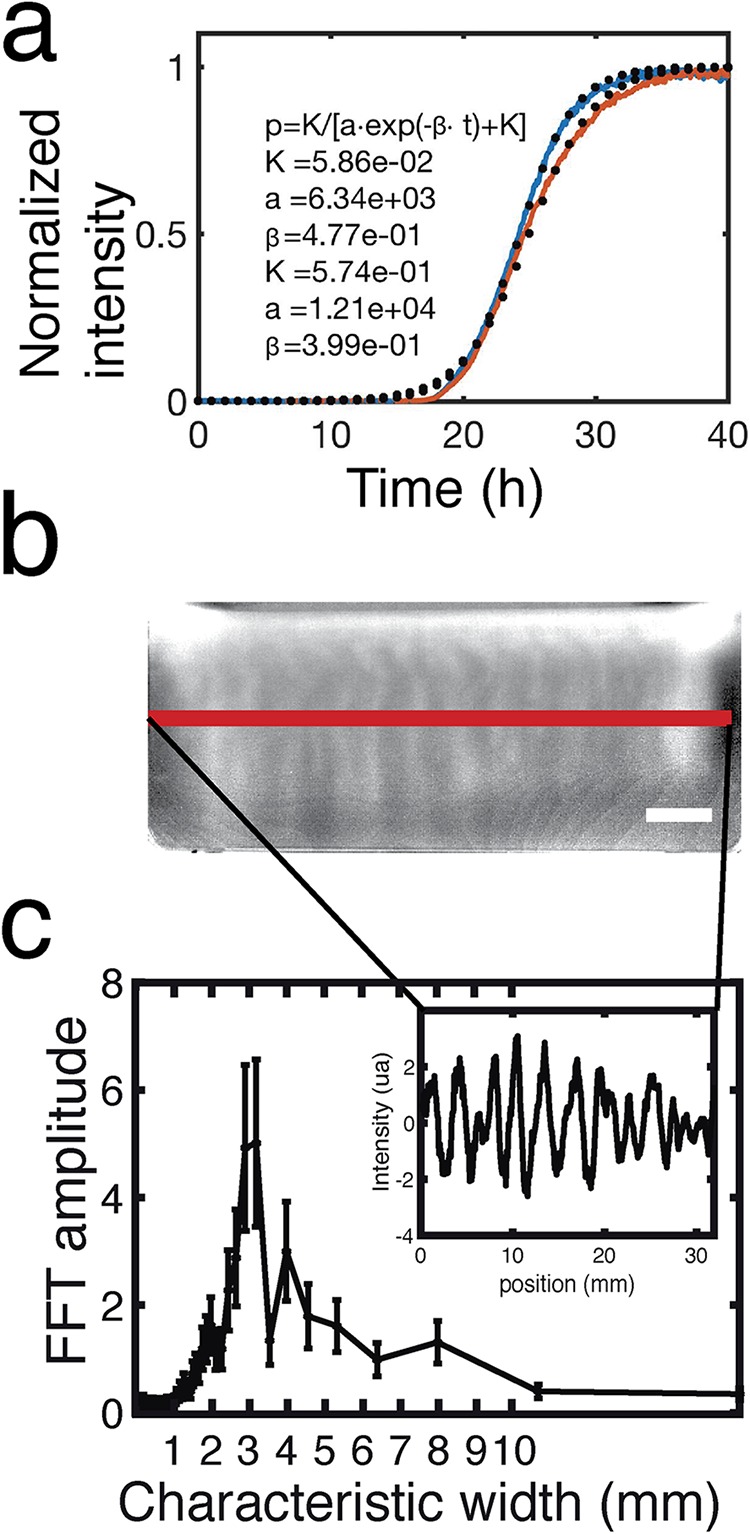 FIG 6