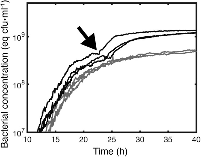 FIG 2