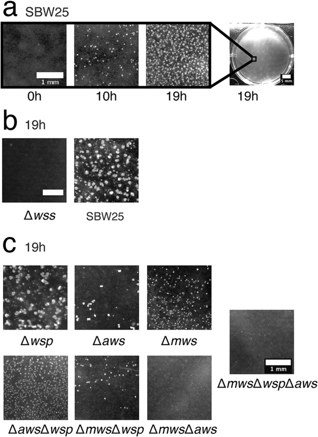 FIG 4