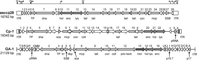 FIG. 4.