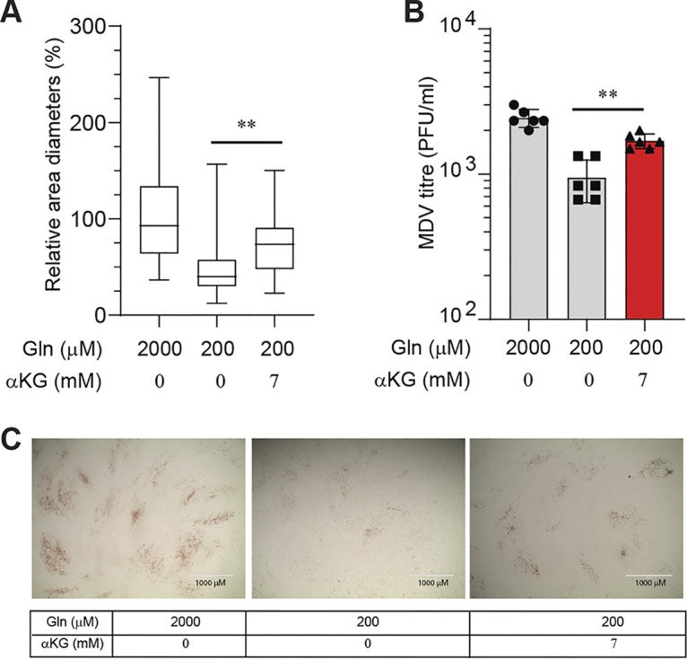 FIG 3