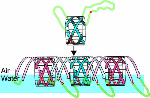 Fig. 2.