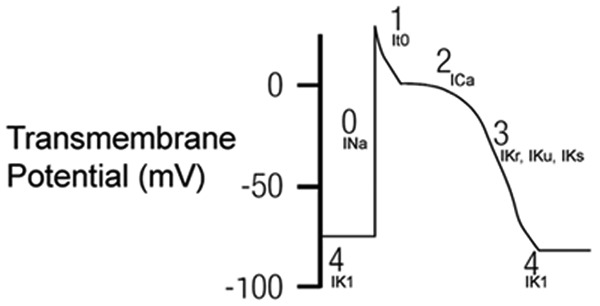 Figure 1.