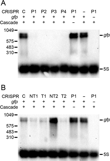 Figure 6.