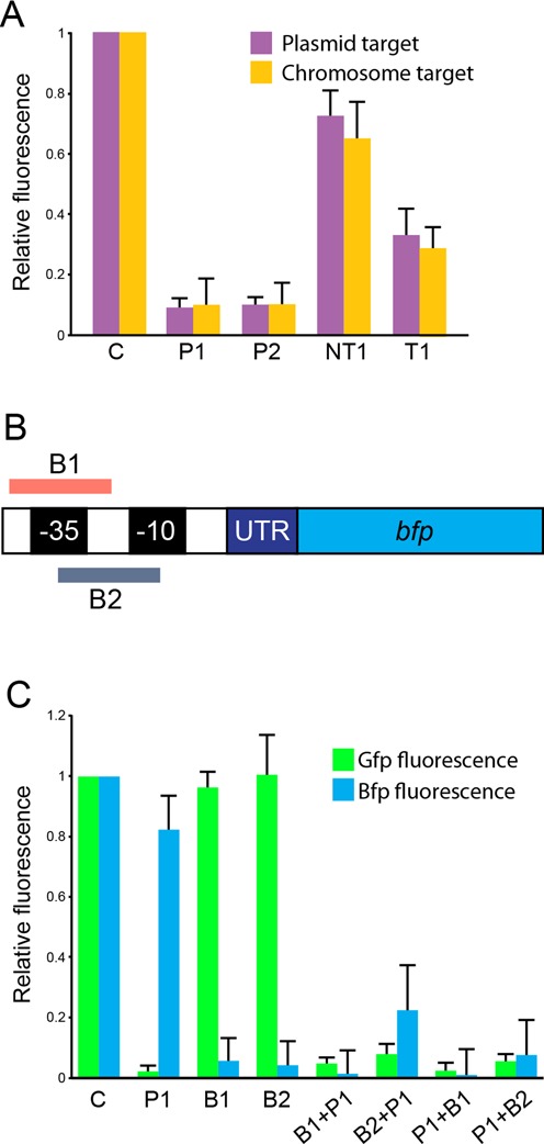 Figure 3.