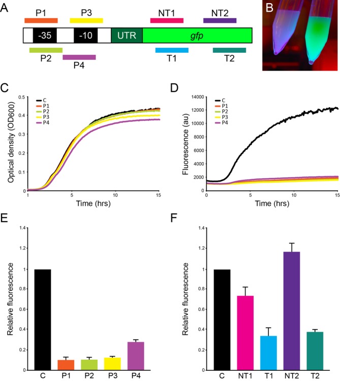 Figure 2.