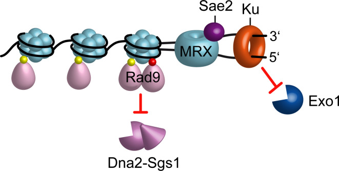 Fig. 2