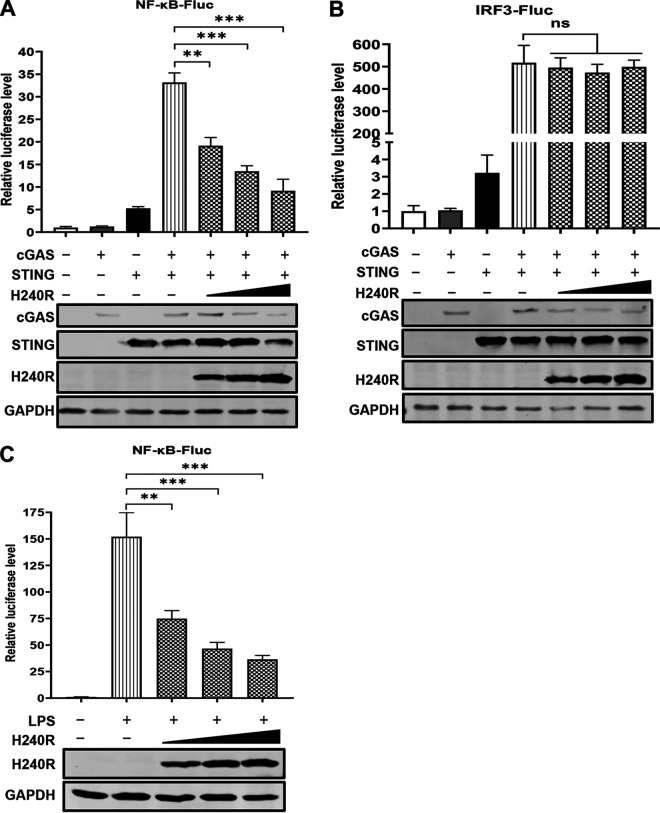 FIG 2