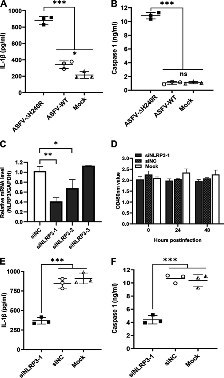 FIG 6