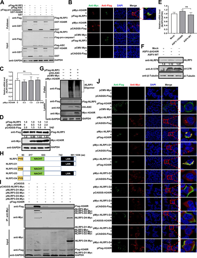 FIG 8