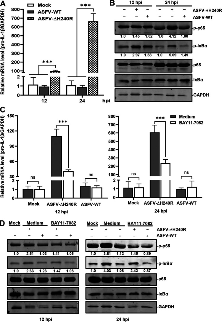 FIG 1