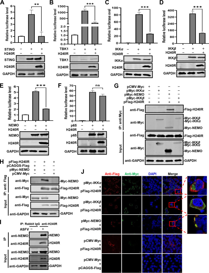 FIG 4