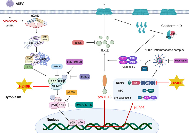 FIG 10