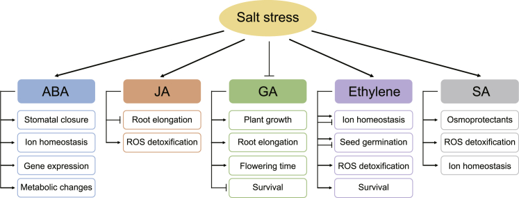 Figure 2