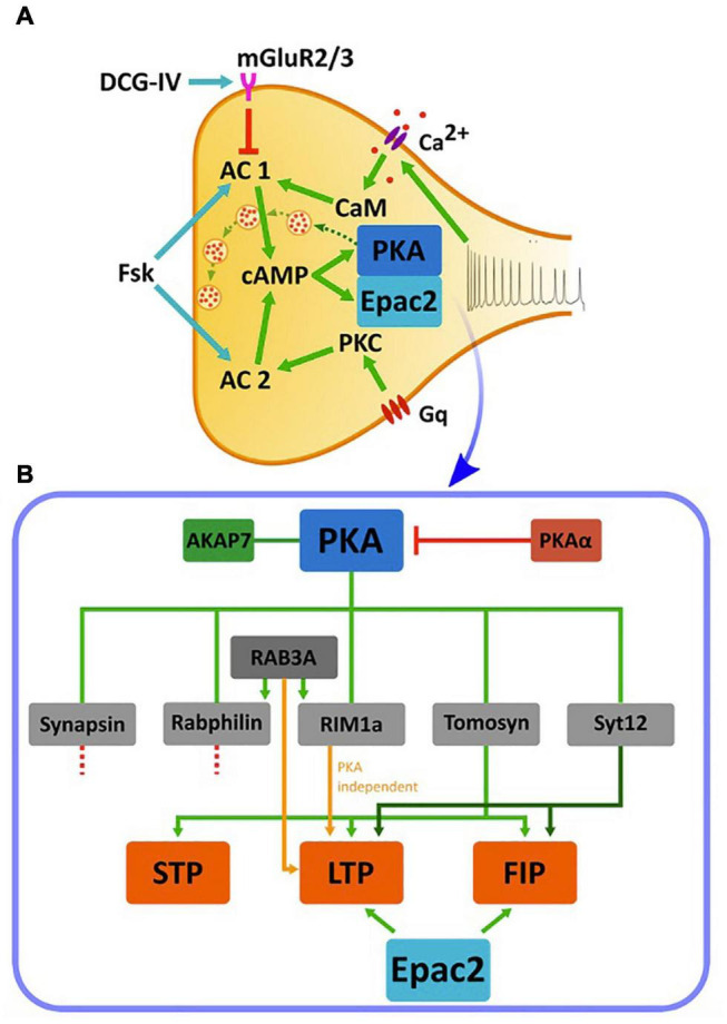 FIGURE 3