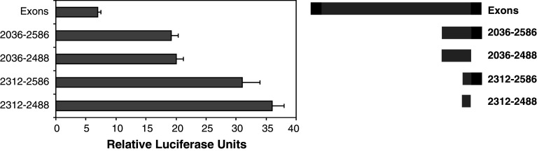 Fig. 6