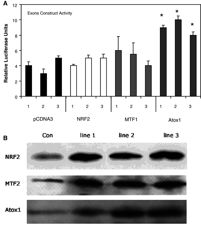 Fig. 8