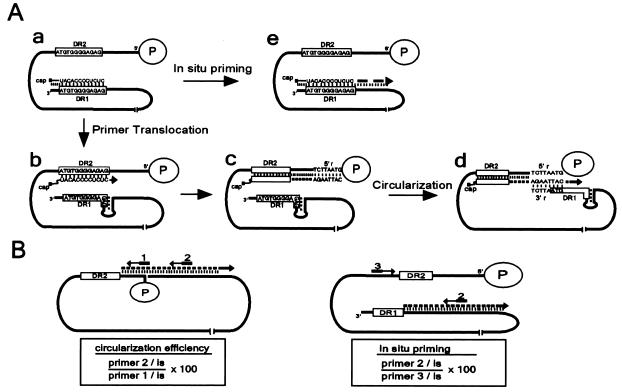 FIG. 1.