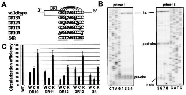 FIG. 2.