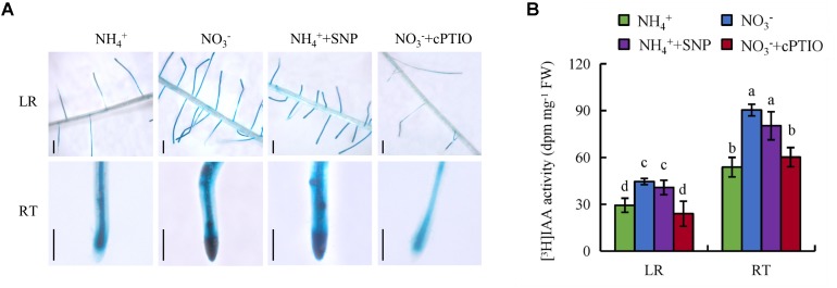 FIGURE 9