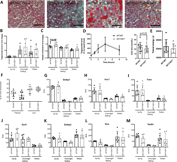 Figure 4