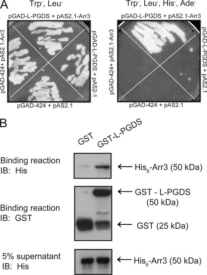 FIGURE 1.