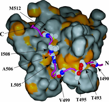 Fig. 3.