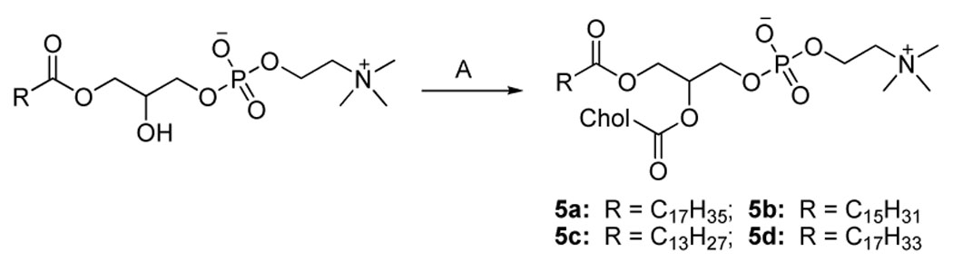 Scheme 5