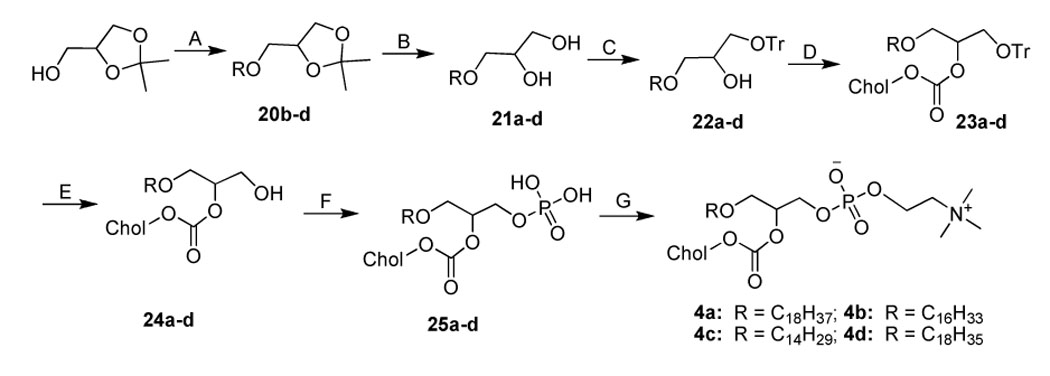 Scheme 4