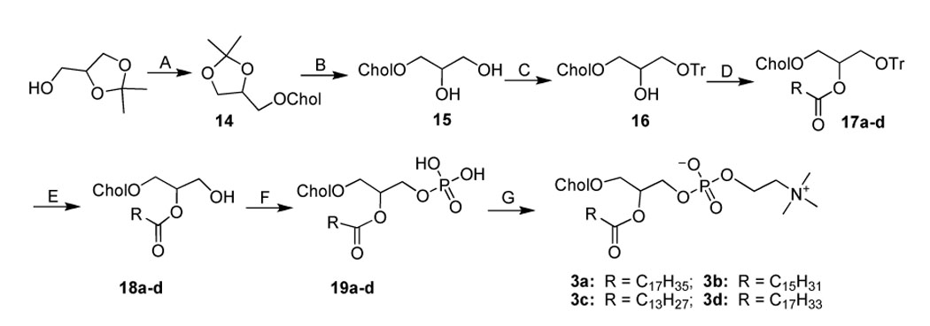 Scheme 3