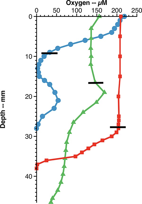 FIG 3