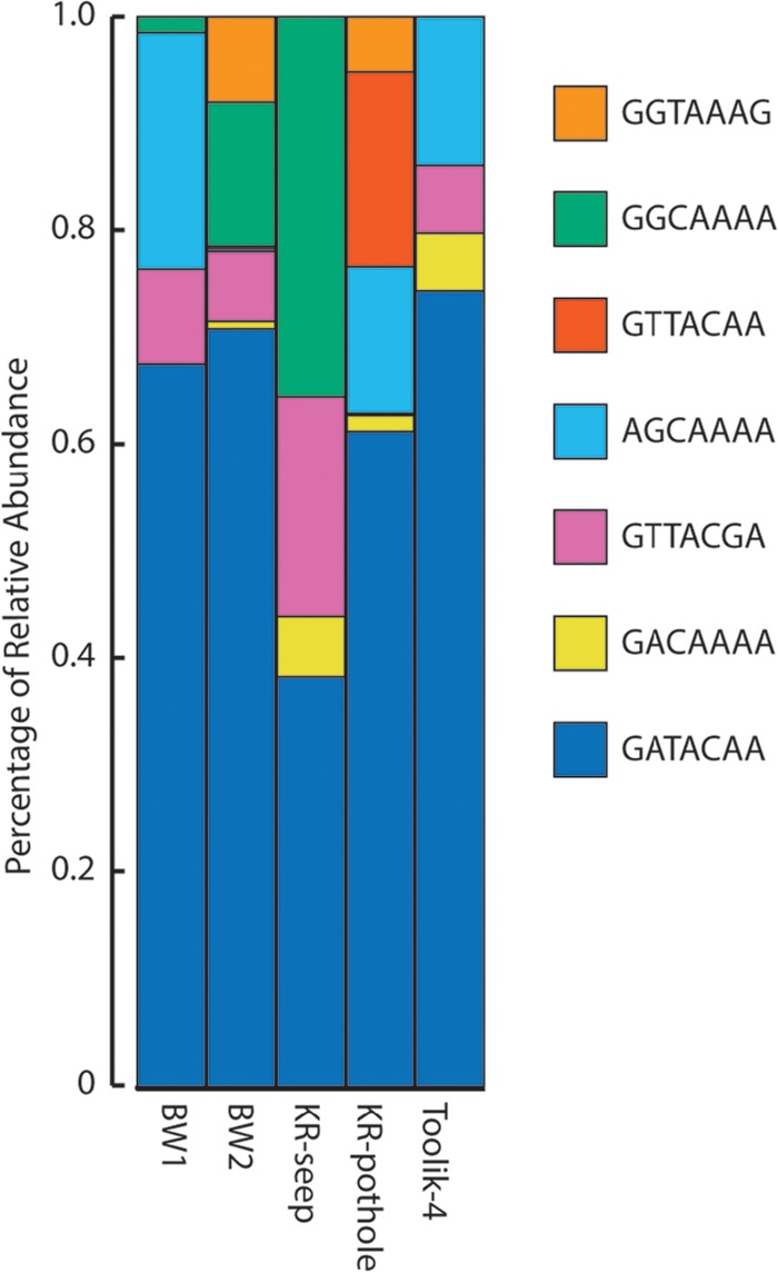 FIG 6