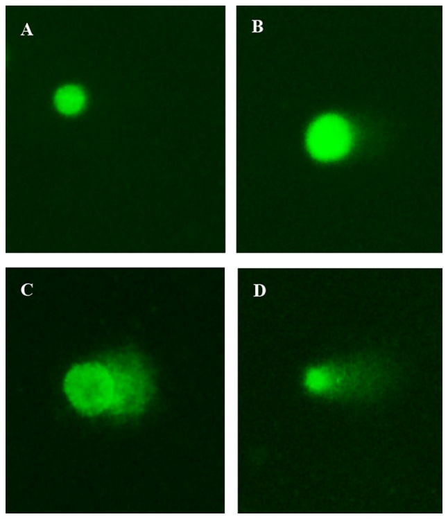 Figure 5.