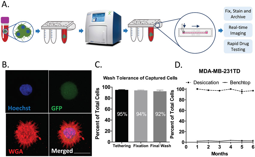 Figure 6: