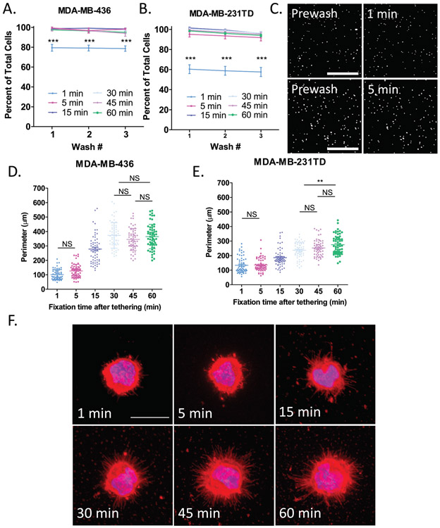 Figure 4: