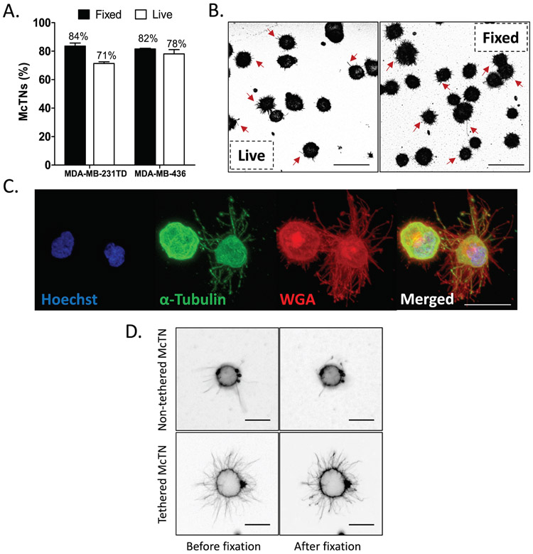 Figure 3: