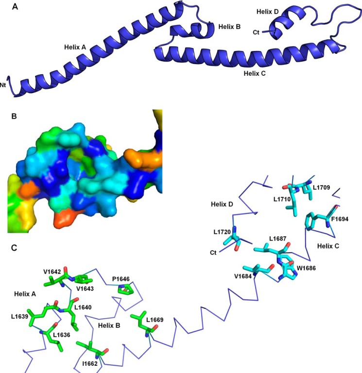 FIGURE 3.