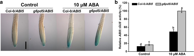 Fig. 7